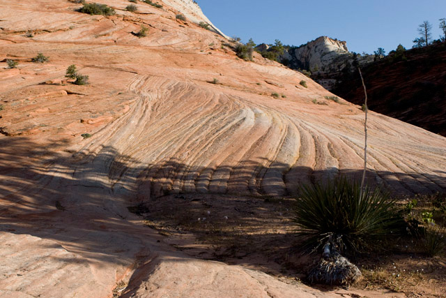 Rock Waves